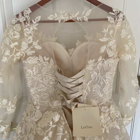 Gorgeous champagne lace wedding gown - Picture 8 of 12